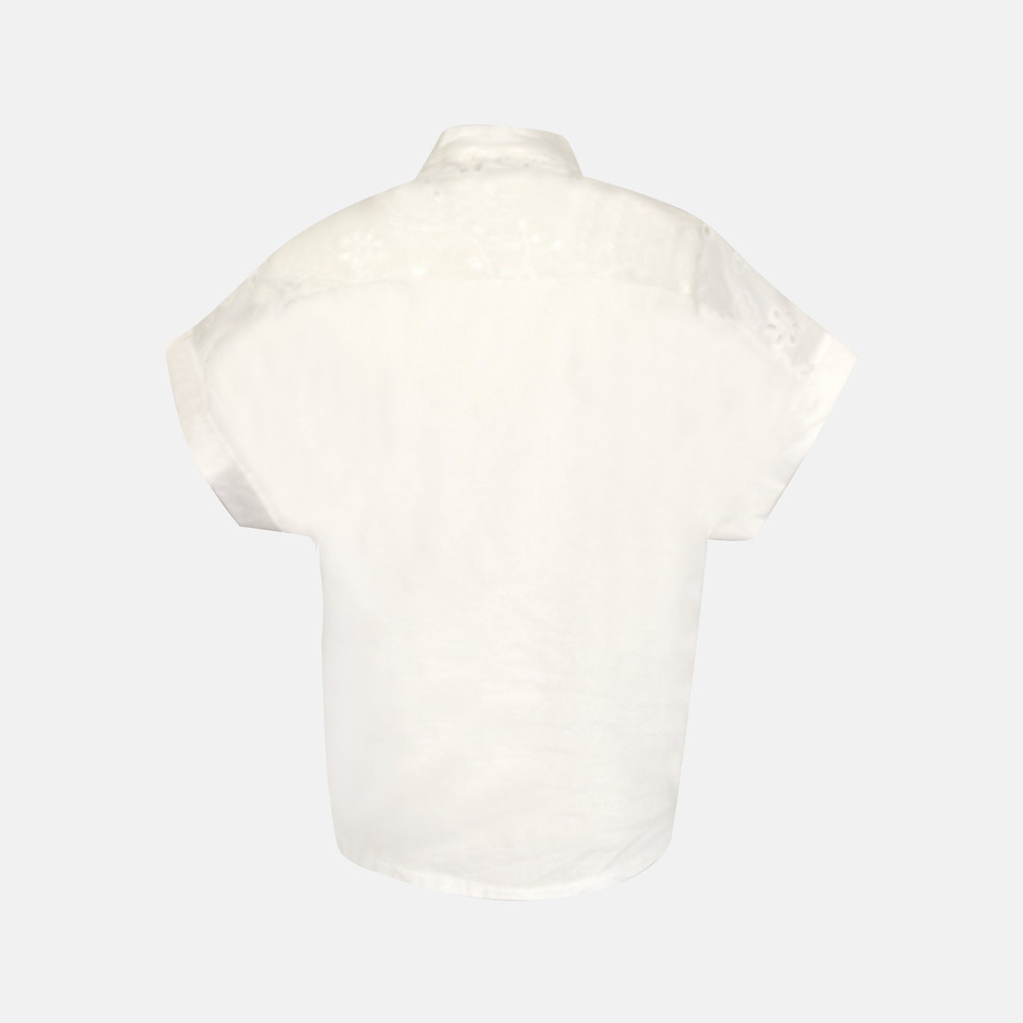 Carmicia Cotton embroidery anglaise button blouse short sleeve